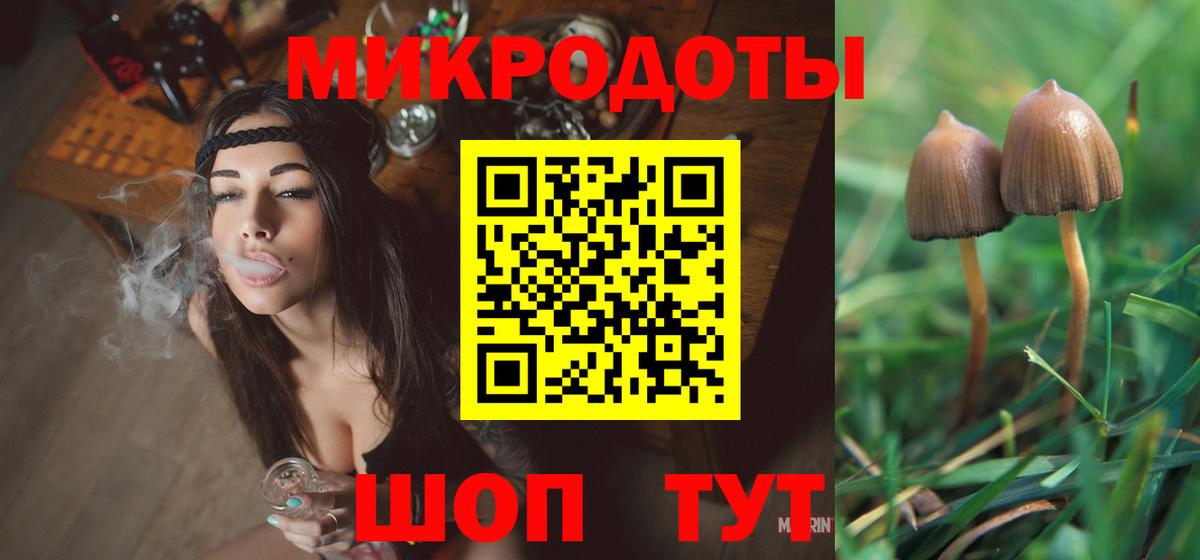 Псилоцибиновые грибы Cubensis  Галлюциногенные грибы ЛСД  Знаменск  Вход с VPN 